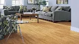 Carpetland photo 2