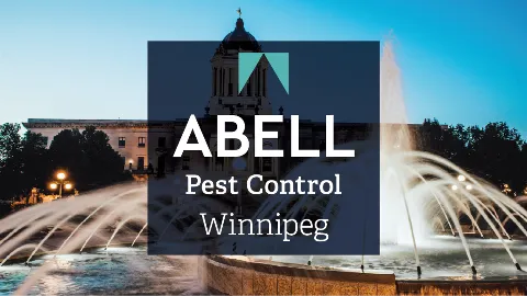 Abell Pest Control photo 1
