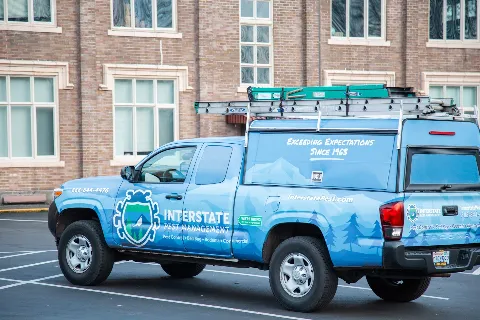 Interstate Pest Management in Vancouver