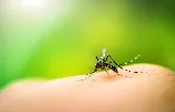 NuHEXA Modern Pest Solutions photo 6