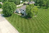Lawn Mex Inc and Tree Service