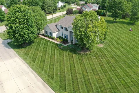 Lawn Mex Inc and Tree Service photo 1
