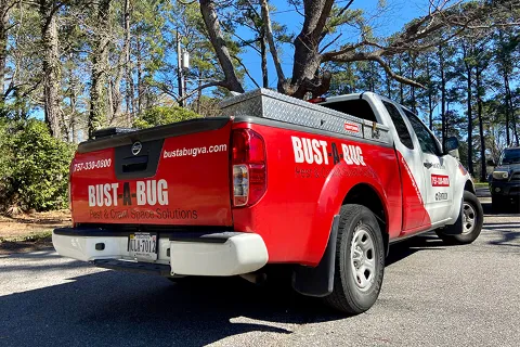 Bust-A-Bug Pest & Crawlspace Solutions in Chesapeake