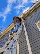 Apex Pest Solutions photo 4