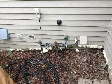 Enviro-Pro Professional Pest Management, Inc photo 3