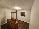 Graffiti Painting & Flooring photo 3