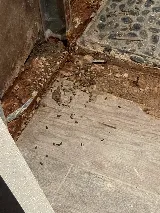 Quality Affordable Pest Control Toronto photo 3