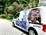 Anchor Pest Services photo 3