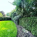 Louch Landscapes photo 6