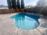 Premier Pools & Spas photo 4