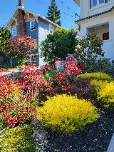 Bountiful Botanicals, Inc. photo 4