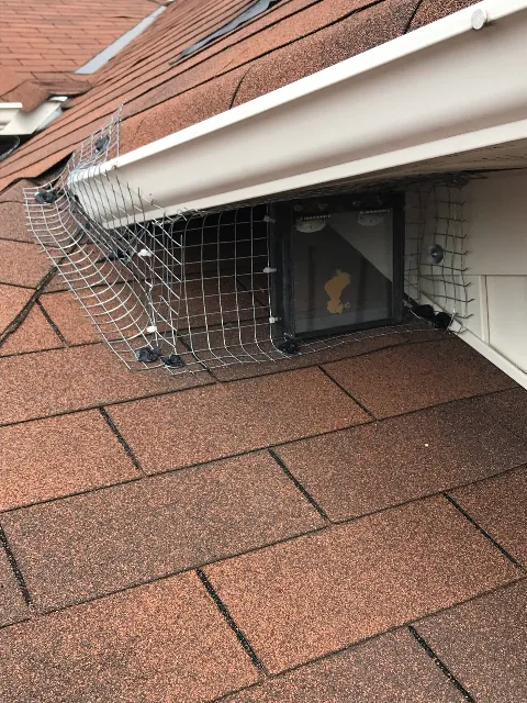 Quality Pest Control GTA in Stouffville
