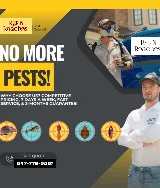 Rat N Roaches Pest Control photo 8