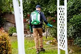 NEVER PESTS PEST CONTROL photo 6
