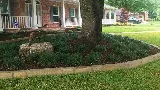 College Fund Landscaping photo 3