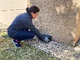 Rove Pest Control photo 7