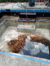 Clearwater Pools & Spas photo 7