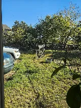 EcoShield Pest Solutions photo 3