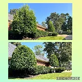 Aguilar Lawn and Landscape photo 6