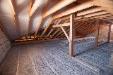 Kilter Termite and Pest Control photo 6