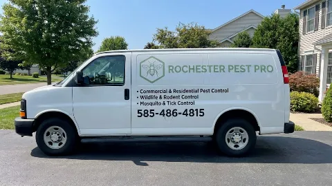 Rochester Pest Pro photo 1