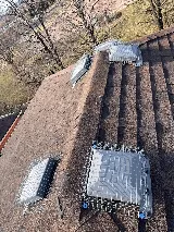 Quality pest control gta Richmond hill photo 2