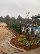 Nelson Landscaping photo 5