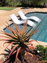 Dane’s Swimming Pools photo 6