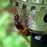 Dane's Pest Control photo 7