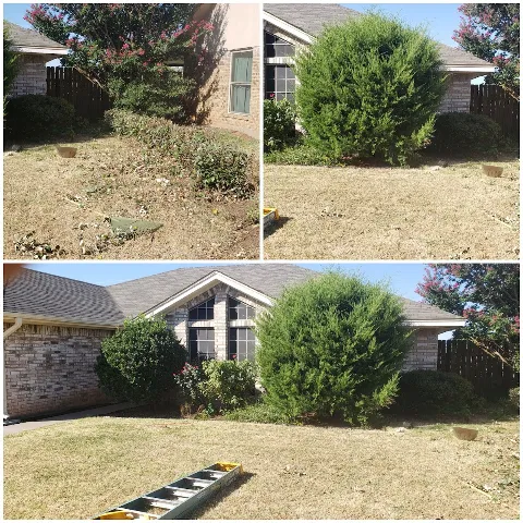 David Helms Services in Wichita Falls