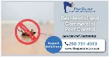 Pest Doctor photo 3