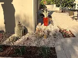 Greenway Landscape Design & Build photo 5