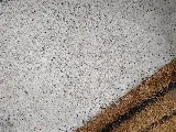 Pointe Pest Control - Portland photo 8