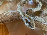 Charlottesville Animal Exterminator photo 4