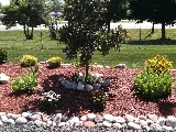 Springfield Lawn and Landscape