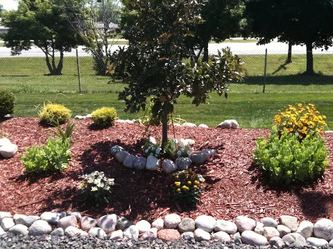 Springfield Lawn and Landscape photo 1