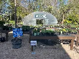 Earth Works Plant Nursery photo 3