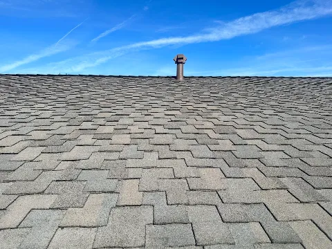 Alpha Roofing photo 1