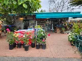 El Plantio Nursery & Landscaping