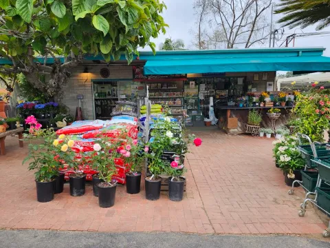 El Plantio Nursery & Landscaping photo 1
