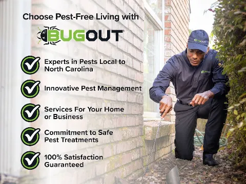 Bug Out in Winston-Salem