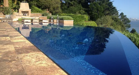Blu Dolphin Pool Services & Repair photo 1