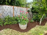 Landscaping/Lawn Care Where The Grass Is Greener photo 6