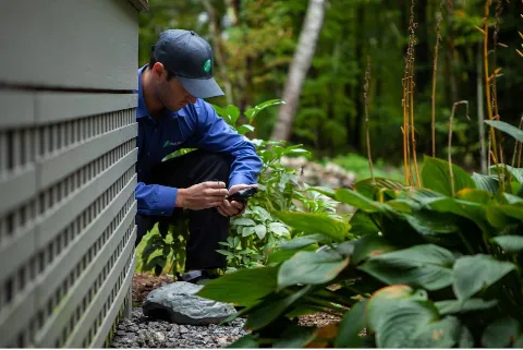 JP Pest Services photo 1