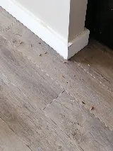 All Corners Pest Control photo 7