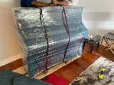 Shark Moving photo 3