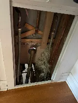 Ron the Sewer Rat photo 7