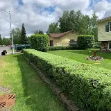 McIntosh Mowing photo 8