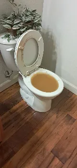 Sargent's Plumbing & Drain photo 8