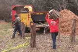 Brents Tree Service photo 6